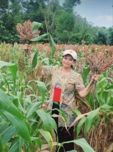 Tatkala Sorgum Dilupakan dan Gandum Masih Dipelajari