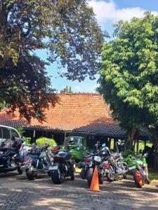 HDCI Depok: Warung Solo Kemang Makanannya Enak dan Pelayanannya Ramah