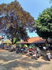 Singgah di Warung Solo, DBS Bikers: Makanannya Enak, Cita Rasa Autentik dan Parkir Luas