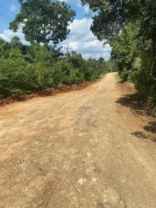 Ekonomi Warga Meningkat, PTPN IV Regional 4 Perbaiki Jalan 6 Desa
