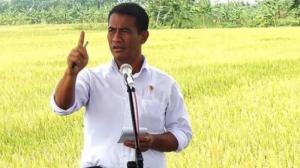Dua Kali "Ditegur" Elit, Mentan Amran Sulaiman Ungkap Dugaan Mafia Beras Rugikan Negara Rp99 Triliun