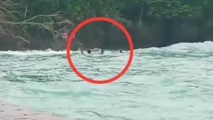 Dua Mahasiswa UGM Meninggal Dunia, Penyebab dan Kronologi Insiden Longboat Terbalik di Maluku Tenggara