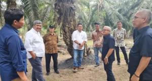 Dekom PTPN IV Target Regional 7 Produksi 26 Ton Sawit per Ha