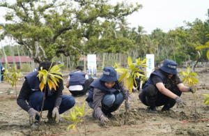 PNM Tanam 343 Ribu Pohon, Dukung Program Penghijauan Nasional
