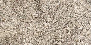 "Jagung Analog", Jadi Solusi Pakan Ternak Ayam yang Murah