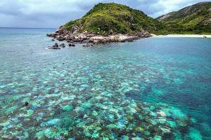 Kasihan Sekali! Lansia Ditemukan Tewas di Pulau Lizard Usai Tertinggal Kapal Pesiar Coral Adventurer