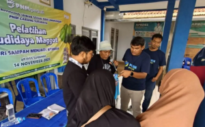 PNM Surabaya Dorong Ekonomi Hijau Lewat Program TJSL Budidaya Maggot di Sumenep