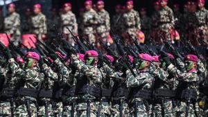 TNI AL Siapkan Korps Marinir untuk Misi Perdamaian ke Jalur Gaza