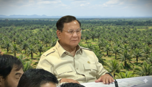 Menteri Kehutanan Sebut Prabowo Pemilik PT Tusam Hutani Lestari, 20 Ribu Hektare Konsesi Diserahkan untuk Koridor Gajah