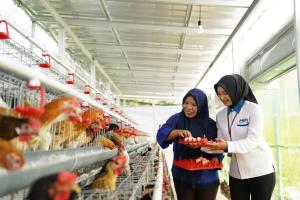Satu Tahun Hadir di Tengah Masyarakat, Program Ketahanan Pangan PNM Bantu Warga Penuhi Gizi dan Kebutuhan Pangan