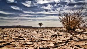 Badan Cuaca Dunia Waspadai Potensi El Niño, Suhu Global Berpeluang Pecah Rekor pada 2027