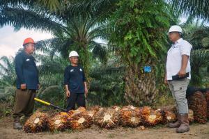 Strategi Inklusif PTPN IV Palmco, Kelola Keberagaman 55 Suku Bangsa untuk Dongkrak Produktivitas