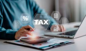 Pajak Melonjak, PTPN IV PalmCo Setor Rp7,7 Triliun dalam Tiga Tahun