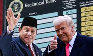 Trump Tiba-Tiba Gebuk RI dengan Tarif, Ekspor Panel Surya Kena 104%