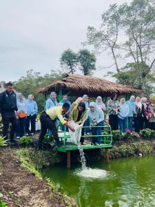 Ketahanan Pangan, IKBI PTPN Sebar Ikan Nila di kolam Stunting