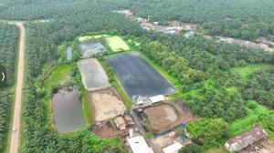 Dua PLTBg Ini Jadi Andalan PalmCo Tekan Biaya Energi di Tengah Gejolak Global