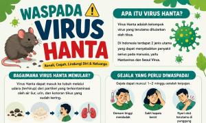 Waspada Virus Hanta, Ancaman dari Tikus yang Bisa Berujung Fatal