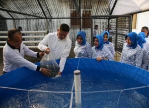Danpuspomal Dukung Program Ketahan Pangan, Budidaya Lele dan Hidroponik