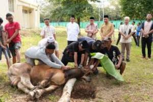 Jelang Iduladha, Himpunan Alumni IPB Edukasi Masyarakat Standar Kurban Aman, Sehat, dan Halal