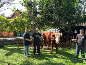 Musholla Al Asr Sembelih Sapi Kurban PT Pelayaran Fortuna Nusantara