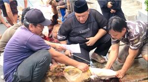 Idul Adha 1447 H, Kurban Wujud Kepedulian H Juaini Yusuf pada Masyarakat