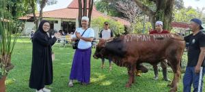 Hari Raya Idul Adha 1447 H, PT Media Indrabuana Sumbang Satu Ekor Sapi