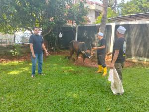 Kurban di RUMAH SAYA, PT Aman Media Interaktif Sumbang Sapi