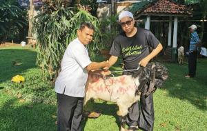 MDM serahkan Hewan Kurban ke Musholla Al Asr