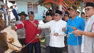 Bupati Tanah Datar Serahkan Bantuan Sapi Kurban Presiden Seberat 1,2 Ton