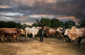 Gabriel Rey CEO TRIV Group Salurkan 7+ Ton Sapi Kurban pada Hari Raya Idul Adha 1447 Hijriah