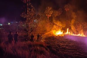 BREAKING NEWS! Sabana Labuan Bajo Dilalap Sijago Merah, Petugas Prioritaskan Pengamanan Kawasan Wisata