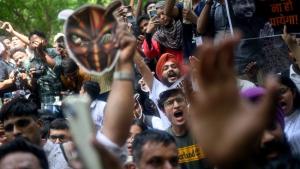 Kemunculan "Partai Kecoak" India dan Kegelisahan Gen Z Indonesia: Ketika Ijazah Tak Lagi Menjamin Masa Depan