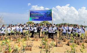 PNM Hadirkan Dampak Berantai bagi Lingkungan dan Ekonomi Pesisir di Hari Mangrove Sedunia