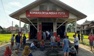 Sebanyak 61,1 Persen Publik Nasional Tidak Yakin KDMP Akan Maju