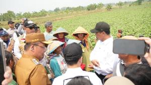 Buruh Tani Bisa Dapat Alsintan, Mentan Amran Siapkan Aturan Baru