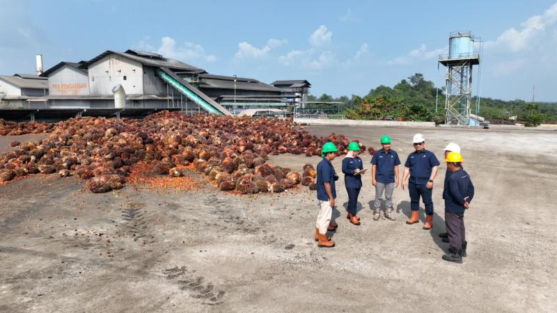 Catat Kinerja Positif, Produksi TBS PTPN IV Regional IV Tembus 244 Ribu Ton di Semester I 2026