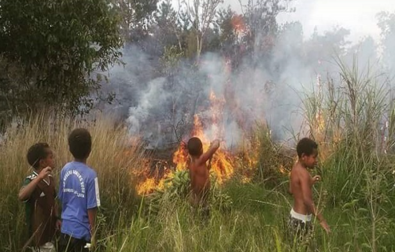 Hutan Papua Dikepung Si Jago Merah, Pemprov Bentuk Satgas Karhutla, 653 Titik Panas Terdeteksi