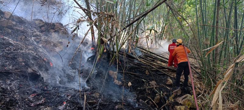 Kebakaran hutan dan lahan. (Foto: BNPB)