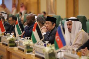 Wamenlu Anis Matta: OKI Harus Menuntut Israel Atas Kejahatan Kemanusiaan dan Terorisme