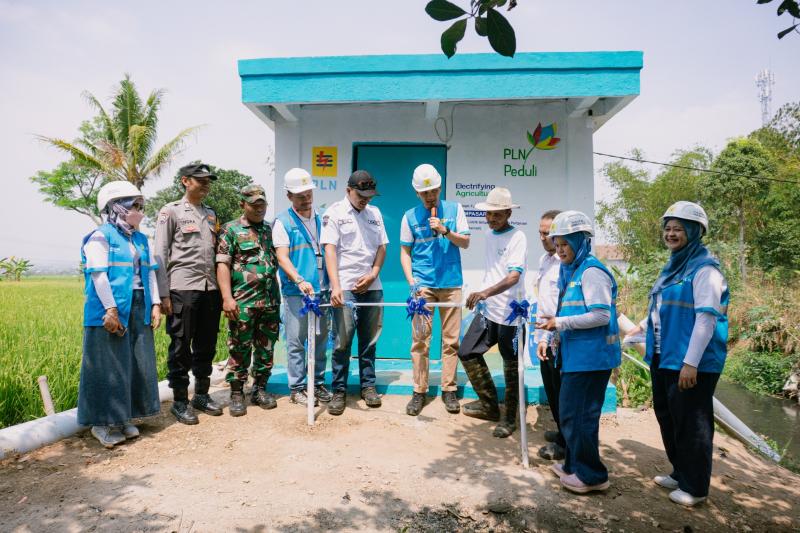 TJSL PLN Hadirkan Harapan Baru bagi Petani Desa Mekarsari
