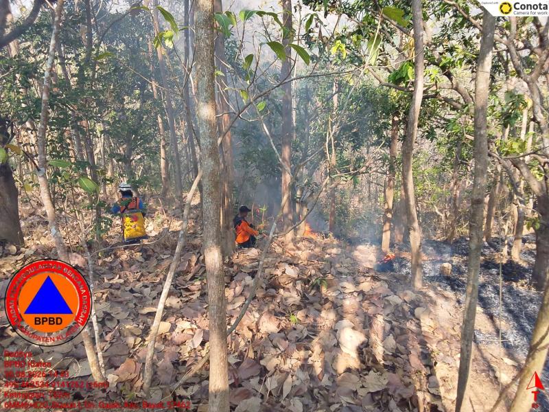 Petugas berupaya memadamkan api pada lahan terbakar di Desa Gunung Gajah, Kecamatan Bayat, Kabupaten Klaten, Jawa Tengah pada Minggu (30/8). Foto: BPBD Kab. Klaten. (Foto: Humas BNPB)