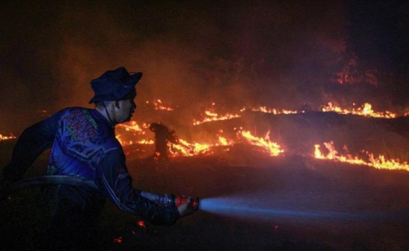 Hotspot Karhutla Kalbar-Kalteng Meningkat Menhut: Kedua Provinsi Itu Jadi Prioritas Penanganan