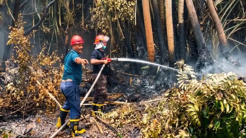 Antisipasi Karhutla, PTPN IV PalmCo Perkuat Deteksi Dini dan Patroli di Sumatera-Kalimantan