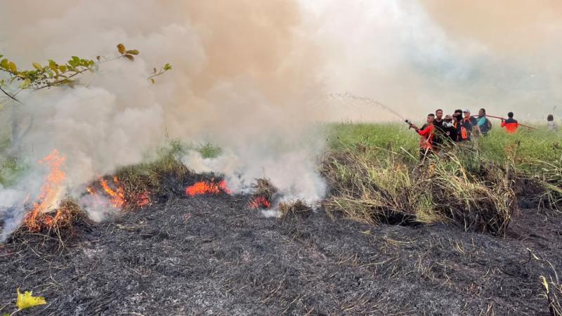 Perkembangan Situasi dan Penanganan Bencana di Tanah Air Hari Ini