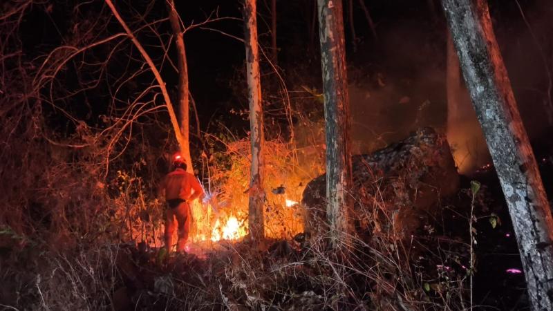 Kondisi lahan yang terbakar di Kabupaten Ponorogo, Jawa Timur pada Jumat (11/9).  Sumber foto: BPBD Kabupaten Ponorogo. (Foto: BNPB)