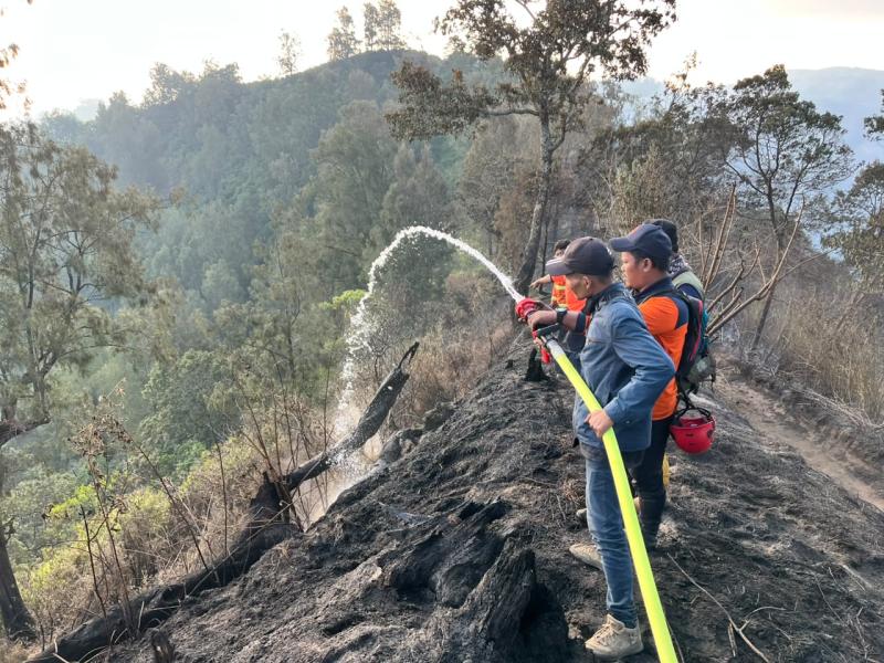 Tim gabungan melakukan pemadaman dan pembasahan karhutla di kawasan Gunung Bromo, Jawa Timur, Minggu (13/9).  (Sumber: BPBD Jawa Timur)