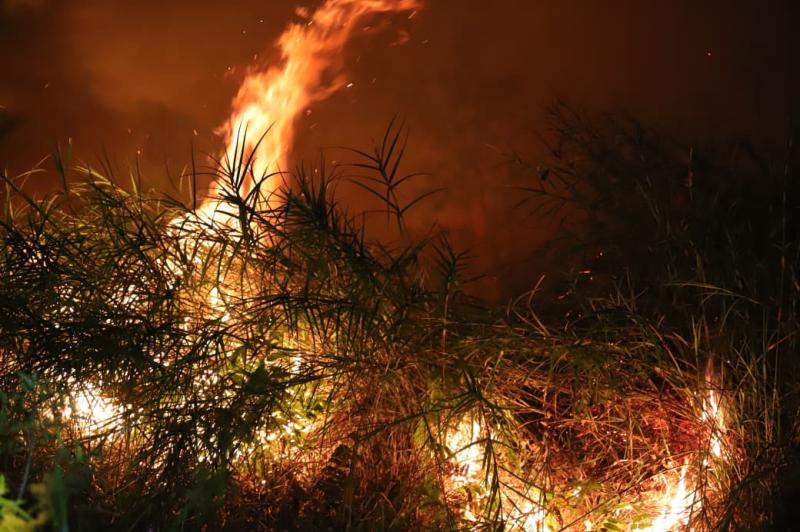 Kebakaran di lahan terbuka di kawasan Perumahan Taman Asri, Kecamatan Sako, Kota Palembang, Rabu (16/9) malam.  (Foto: Humas BNPB)