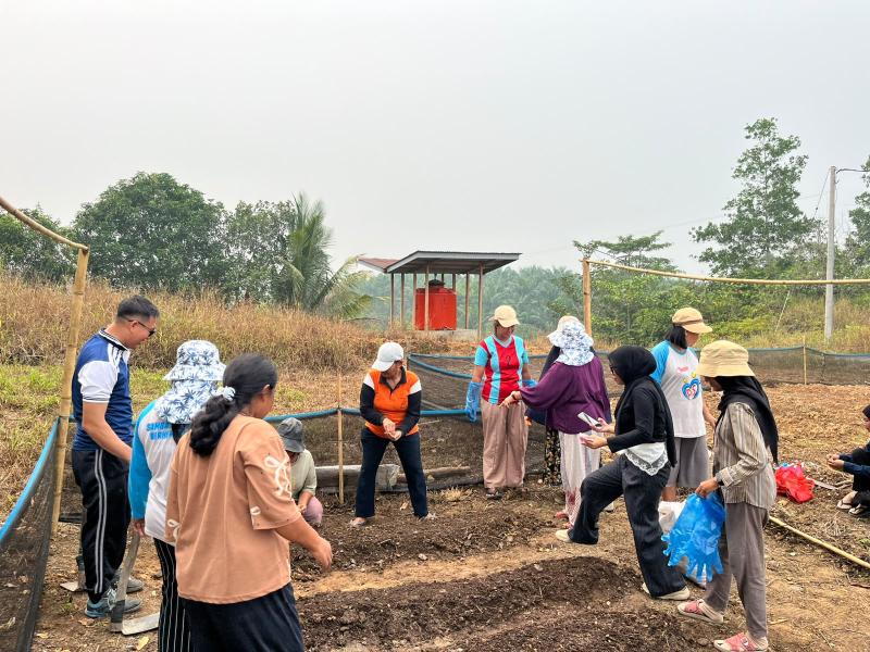 Dorong Ketahanan Pangan, Transmigran Gerbang Mas Perkasa dan TEP UI Sulap Lahan Tandus Jadi Pekarangan