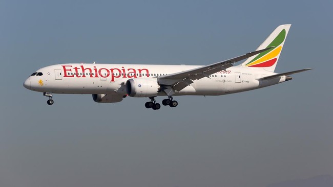 Gegara Pilot WNI, Israel Larang Pesawat Ethiopian Airlines Mendarat