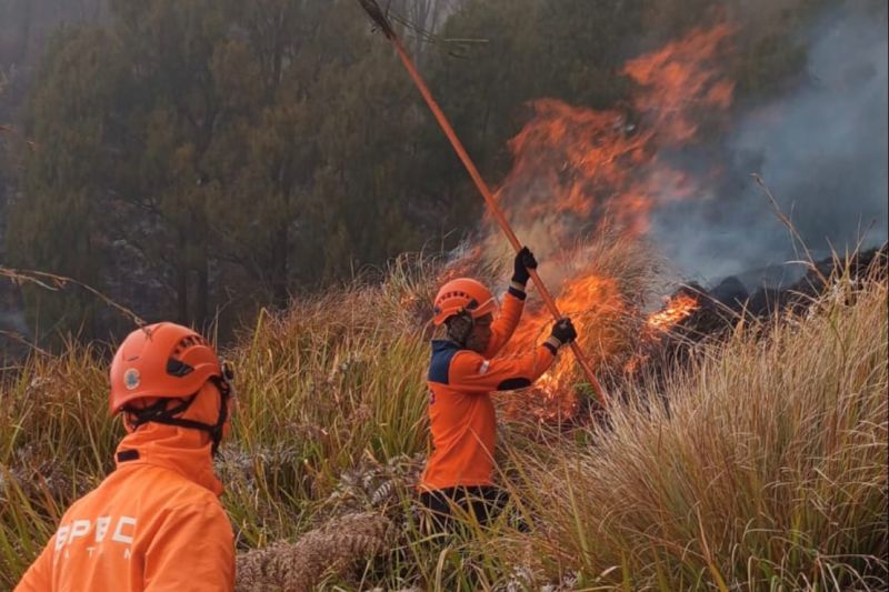 Lima Gugur Padamkan Api di Bromo, Tiga di Antaranya Relawan: Siapa yang Menjamin Mereka?